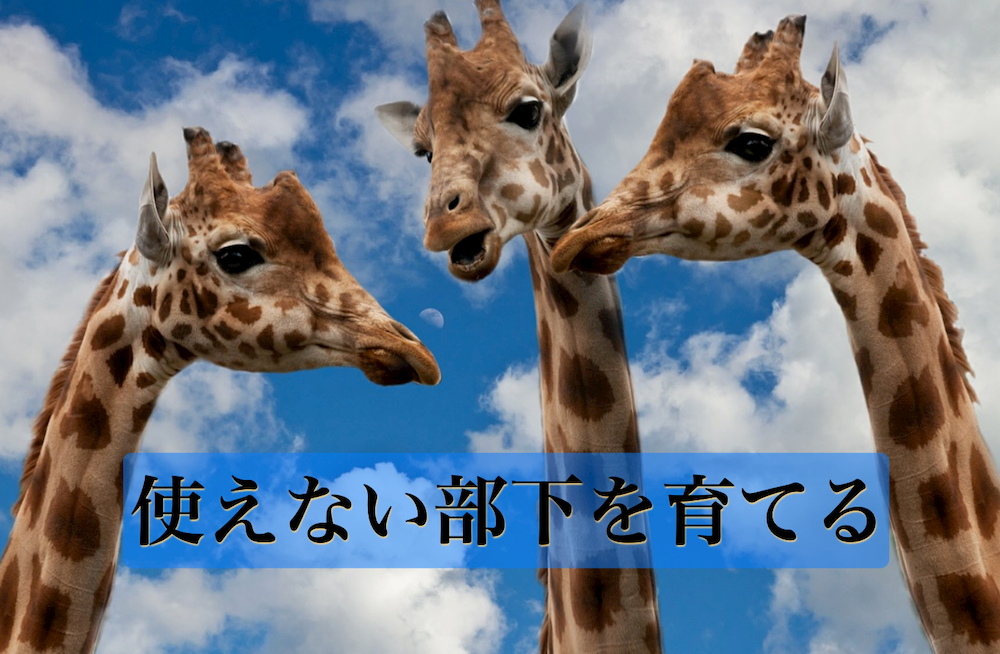 悩める上司必見 使えない部下を育てる７つの方法