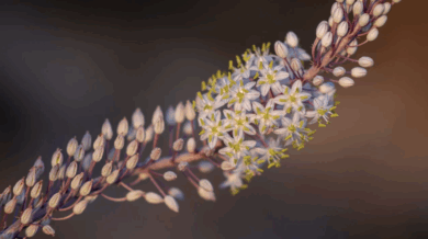 人生が楽しくなる方法｜｢使う言葉｣を変えるだけで毎日が変わる理由