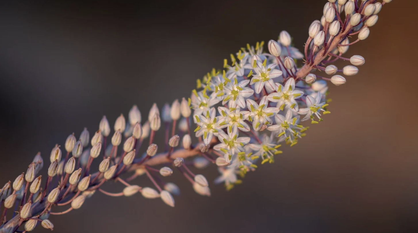 人生が楽しくなる方法｜｢使う言葉｣を変えるだけで毎日が変わる理由