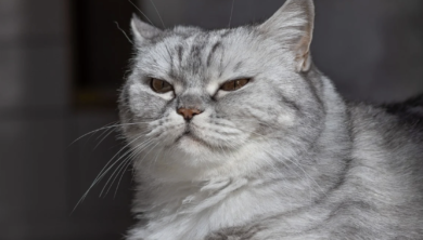 仕事で「納得しないと進めない性格」は才能である｜動きながら納得を作る３つの技術