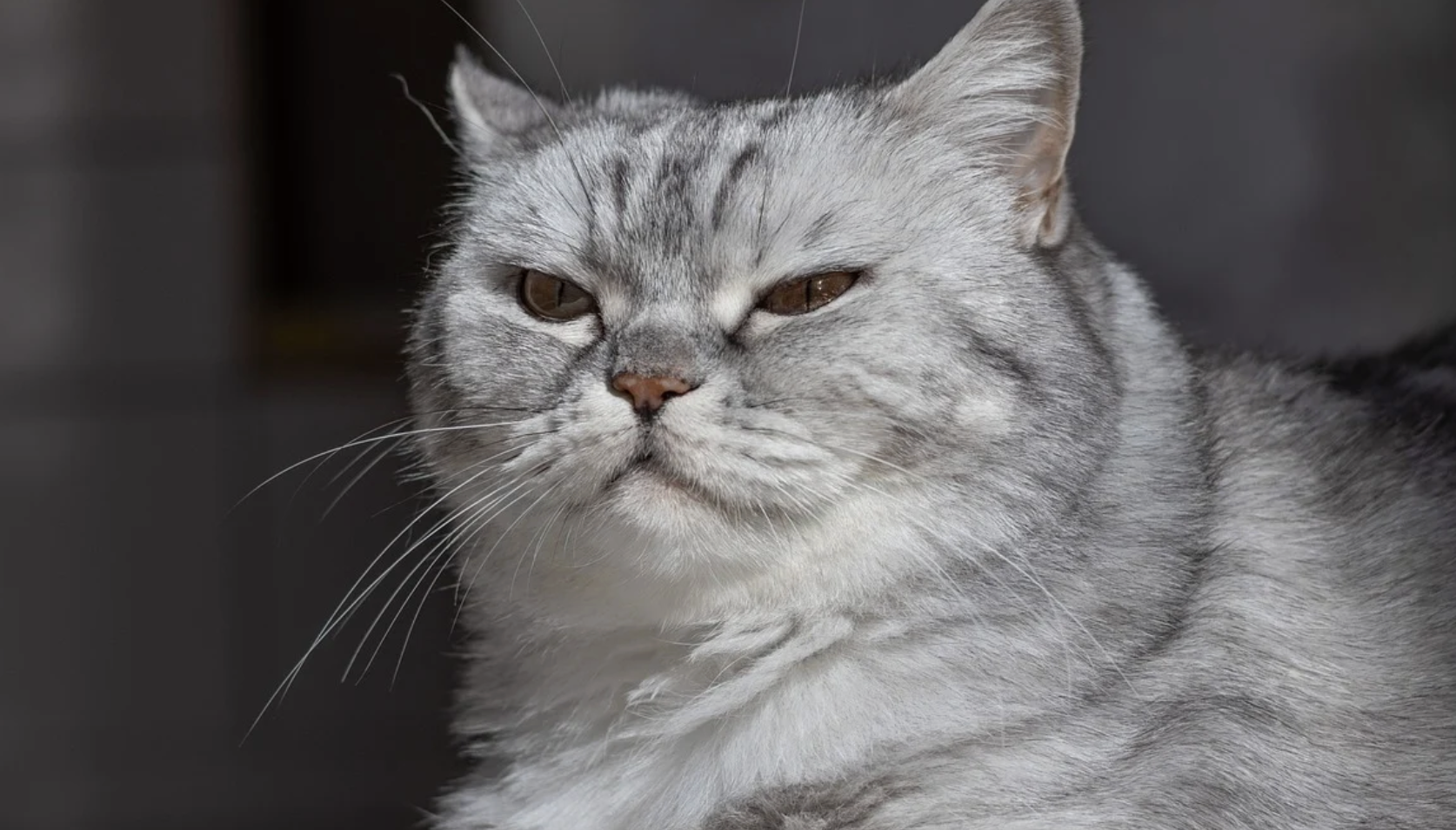 仕事で「納得しないと進めない性格」は才能である｜動きながら納得を作る３つの技術