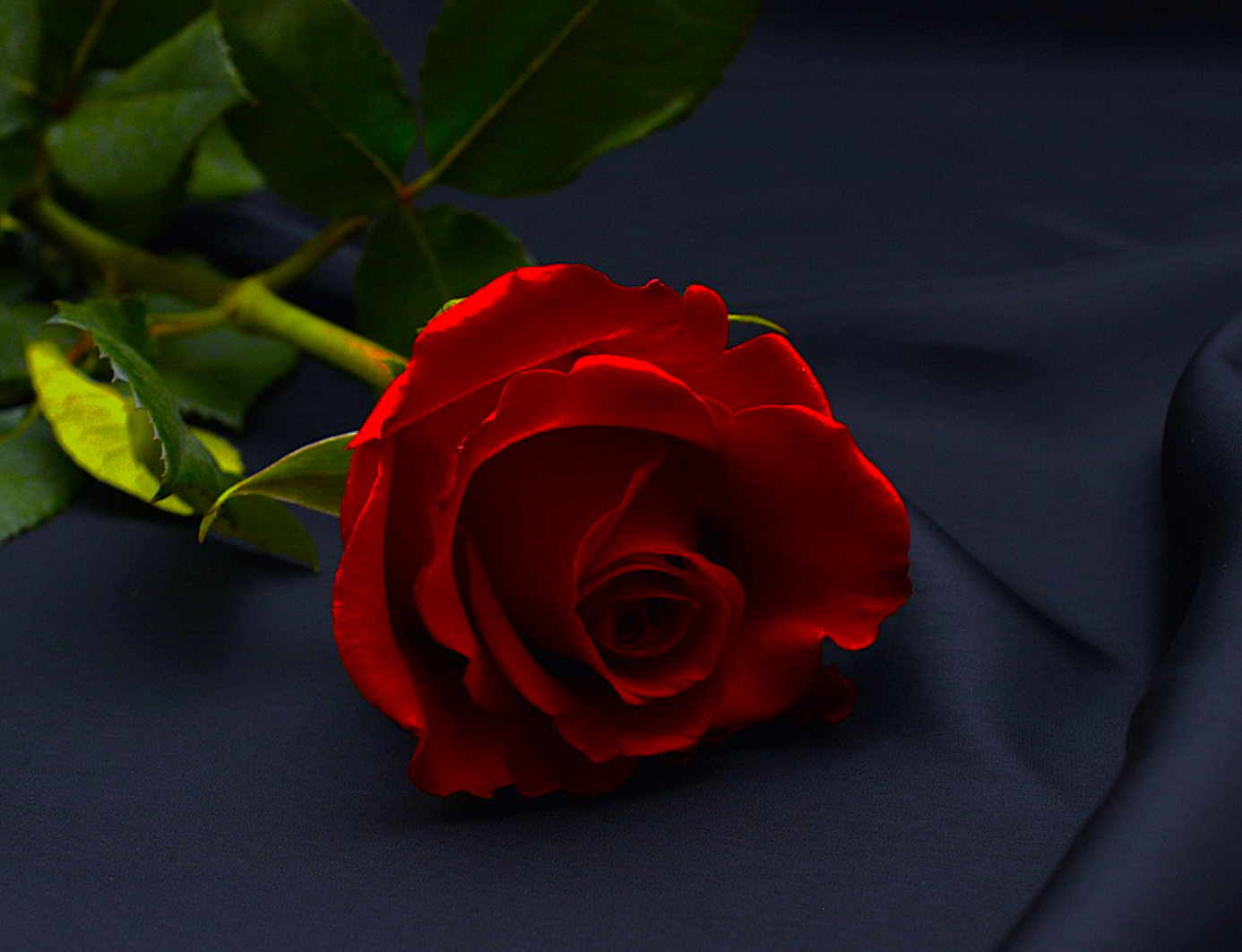 自分の美学とは？自分軸だけでは自分らしく生きられない理由